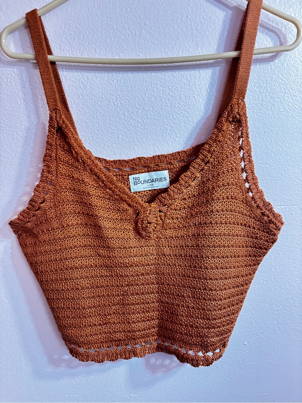 No Boundaries Burnt Orange Crochet Crop Tank